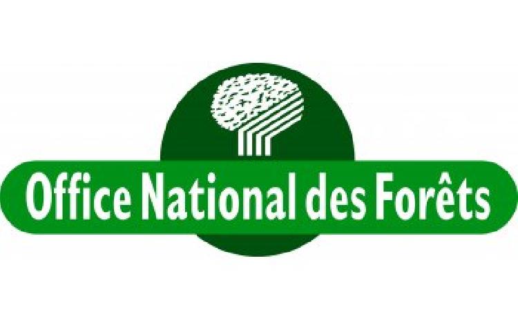 Martinique Terre de Randonnée 